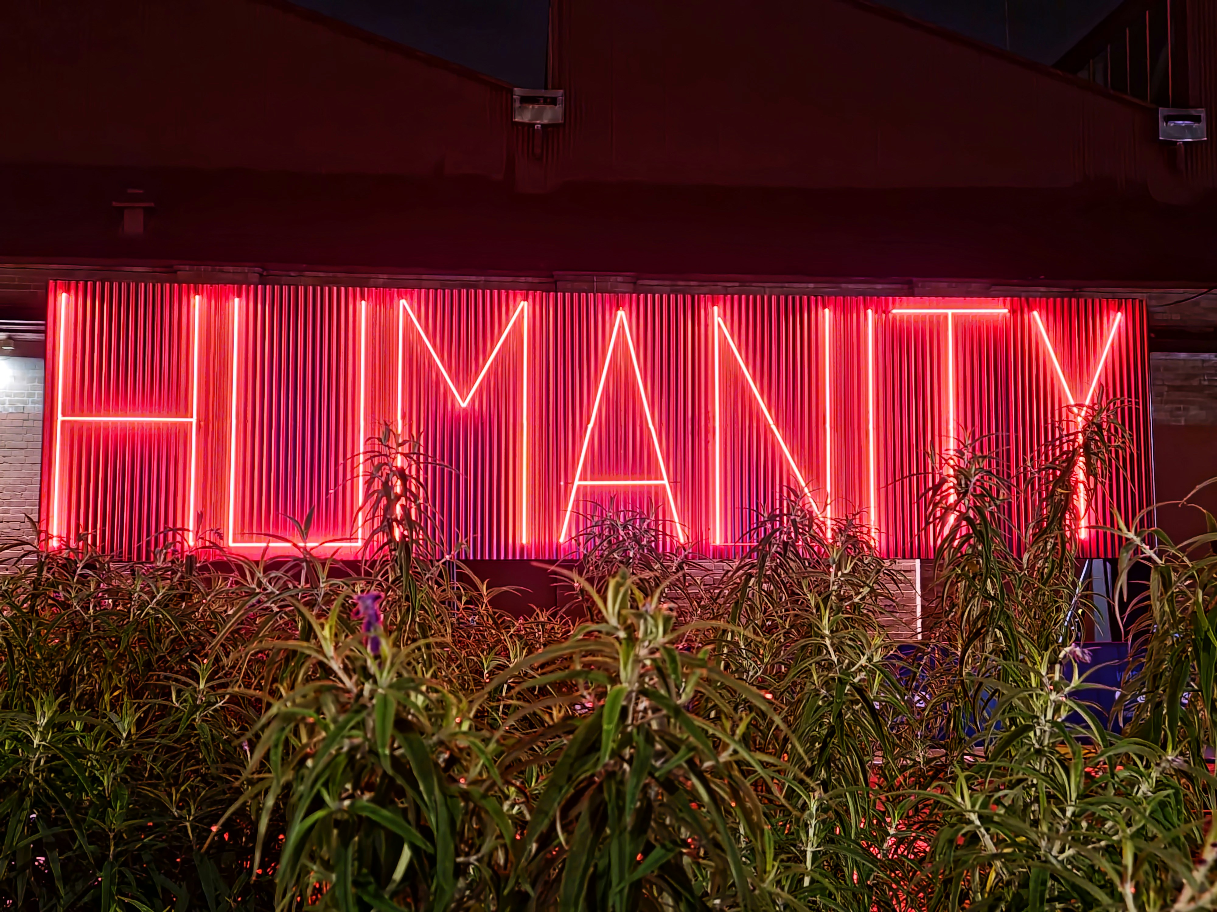 Neon sign reading humanity, glowing at night